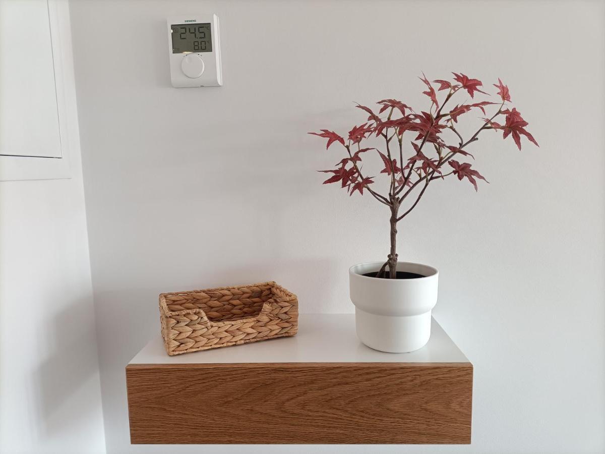 Precioso Apartamento Nuevo Centrico En 桑坦德 外观 照片
